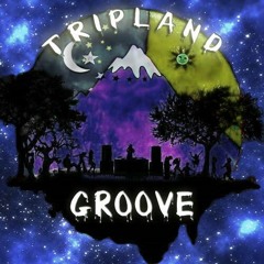 TripLand Groove Records