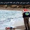 حسام النوبى