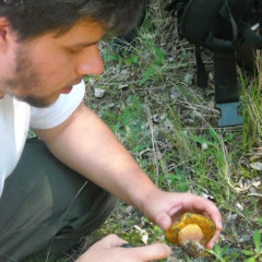 Ricardo Castilho