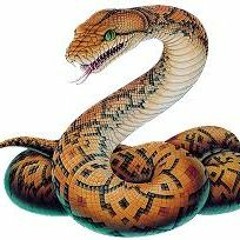 Snake Master