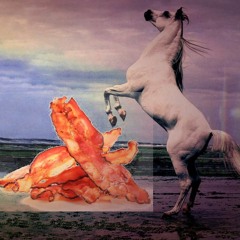 Horse Bacon