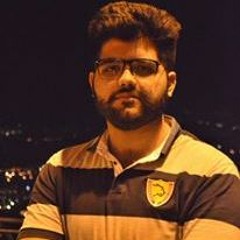 Muhammad Hamza Zulfiqar