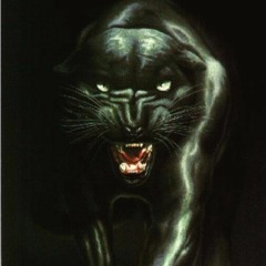 The Black Panther