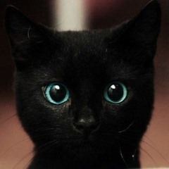 Tunes I wanna download (8)
