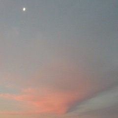 Nick Bowen - Web Master