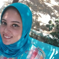 dalia eltohamy