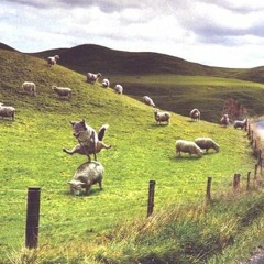 juaques