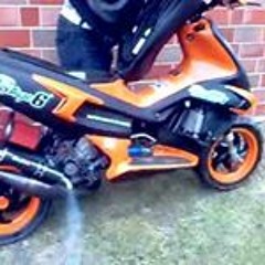 Tuarii de la Brodwell