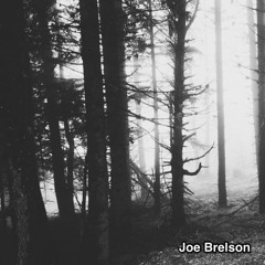 Joe Brelson