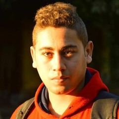 mohamed Diab