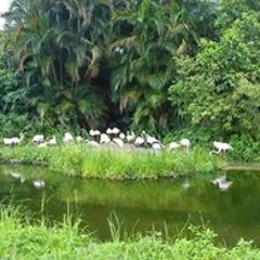 Gloria Elena Gonzalez