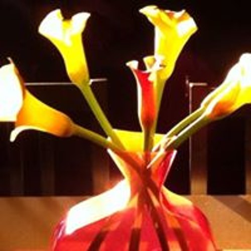 Stream Cara Harding-Martin music | Listen to songs, albums, playlists ...