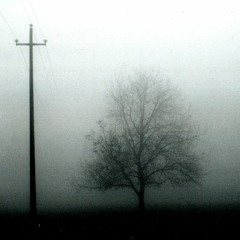 deux chiens d'espace