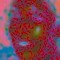 _primordialsoup