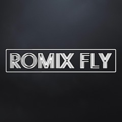 Romix Fly