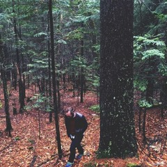 Aaron Cecchini-Butler