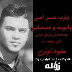 علاء  سيد