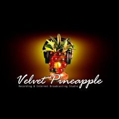 Velvet Pineapple Studio
