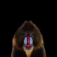 Rafiki