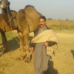 Shah Amjad