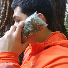 stiffmiiester