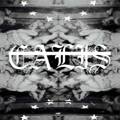 C A L I S