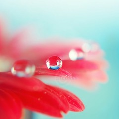 Đáng Tiếc Không Phải Anh - Lương Tịnh Như