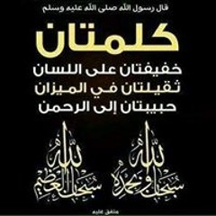 فتحى البدرى