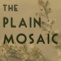 The Plain Mosaic