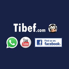 Tibef
