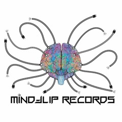 MindFlip Records
