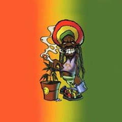 Wile head bangers like