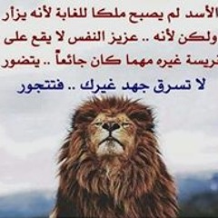 Wael Samir