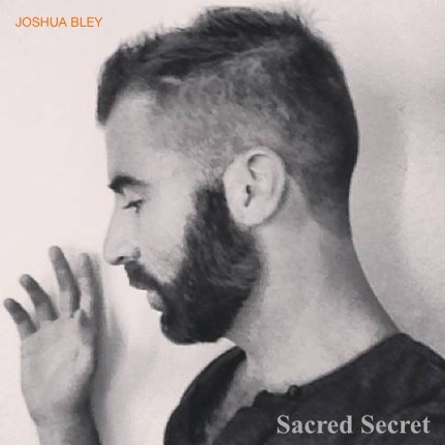 Joshua Bley’s avatar