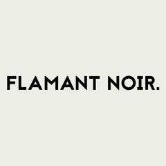 Flamant Noir