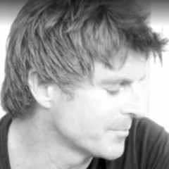 Black Bear White Forest