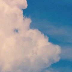 They Move Like Wolves