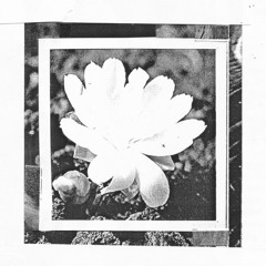 тhe тide øf тhe εnd