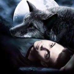 Rivaille Ackerman