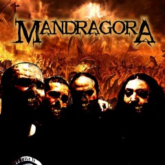 MandragorA_Band