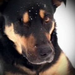 Cynthia McLaren Lloyd