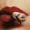 oncelwolleUser 455733809