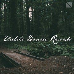 Electric Donau Records