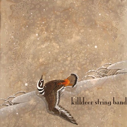 Stream killdeer string band music Listen to songs, albums, playlists