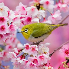 ST