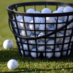 Greens In Regulation