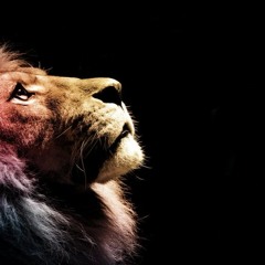 Predatorr