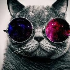 Cats Gon Give It To You