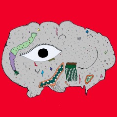 carnivorousplantsociety