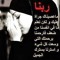 Faten Aldmerdash